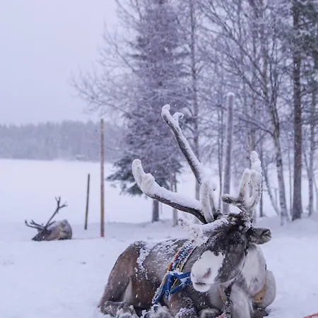 I New I - Luxury Loft *