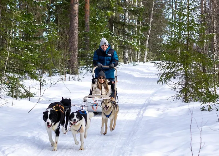 I New I - Luxury Loft * Rovaniemi